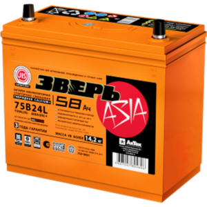 Battery Beast: модели, отзывы, цены