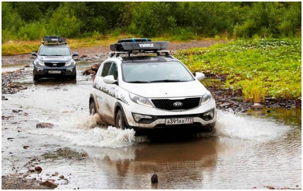 Автомобили KIA - популярные модели на российском рынке