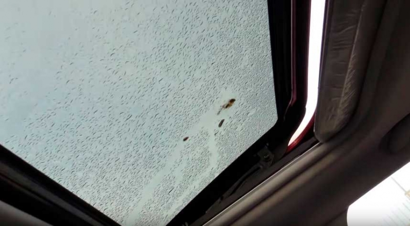 Besturn X80 – компактный кроссовер от китайского автопроизводителя FAW