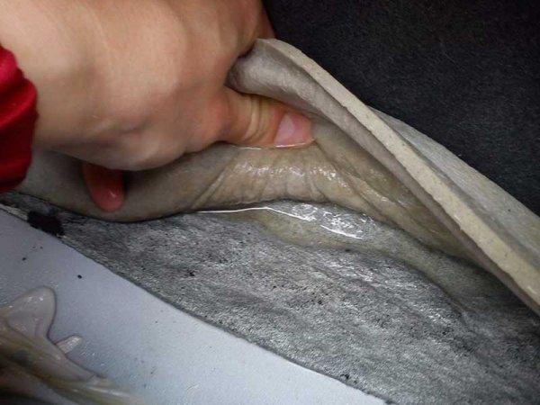 Что делать если потеют окна в машине?