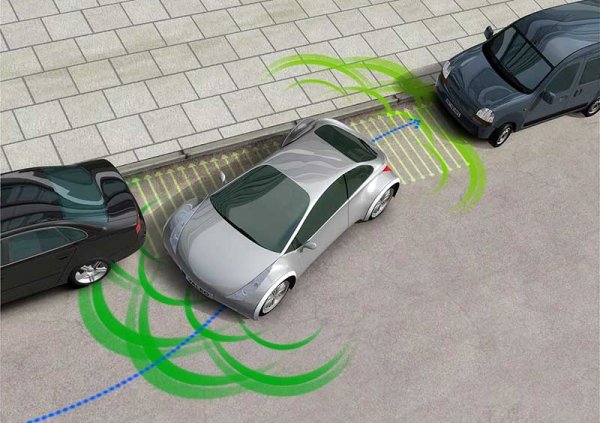 Что нужно знать, чтобы получить водительское удостоверение?