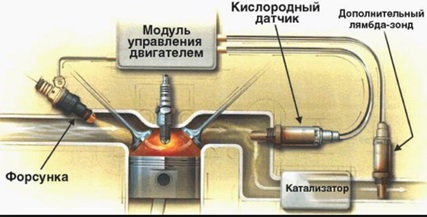 Датчик кислорода в Ford Focus 2