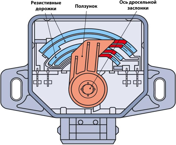 Датчик положения дроссельной заслонки