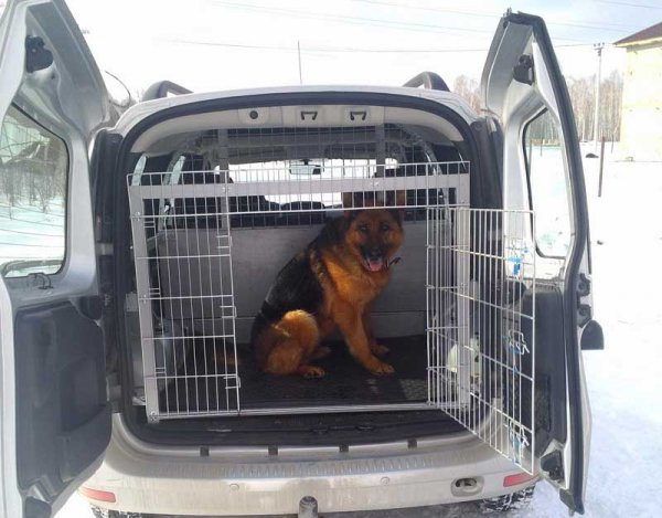 Как можно заработать на своем автомобиле, 16 популярных способов