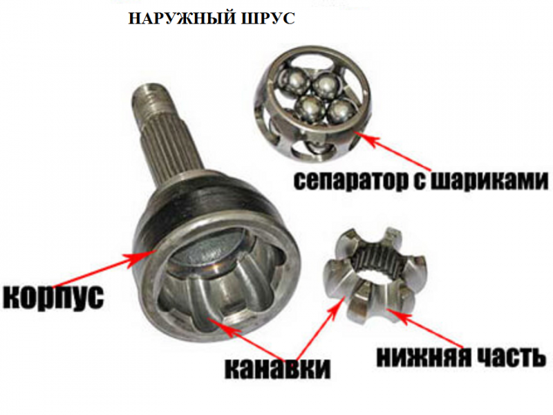 Как определить, какой гранат жует