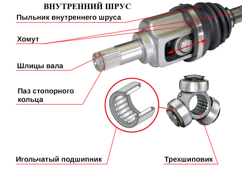 Как определить, какой гранат жует