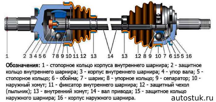 Как определить, какой гранат жует