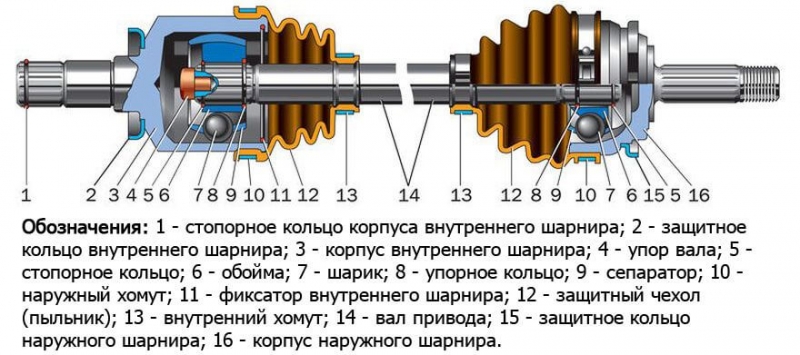 Как определить, какой гранат жует