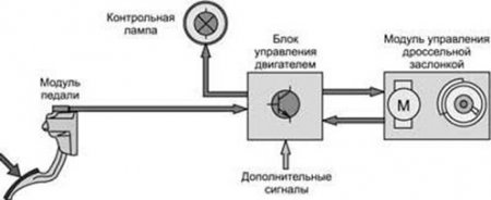 Как сделать чип-тюнинг двигателя и вдохнуть новую жизнь в машину