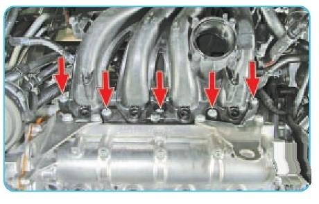 Коллекционер Volkswagen Polo