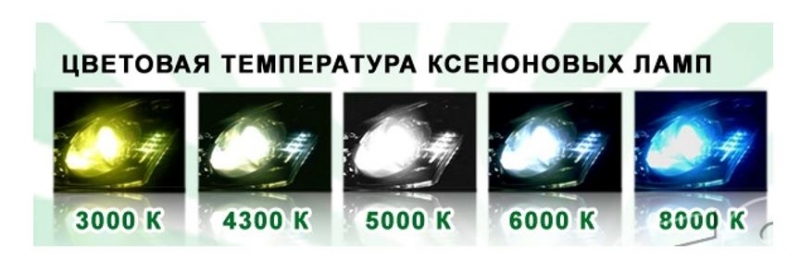 Ксенон на Accord 7