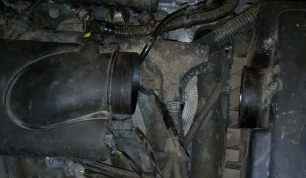Легкий способ чистки дроссельной заслонки на Peugeot 406