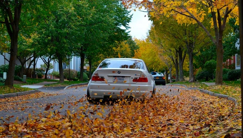 Осторожно! Листва на дороге, советы профессионалов