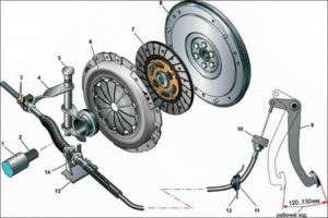 Сцепление: регулировка, устройство и работа