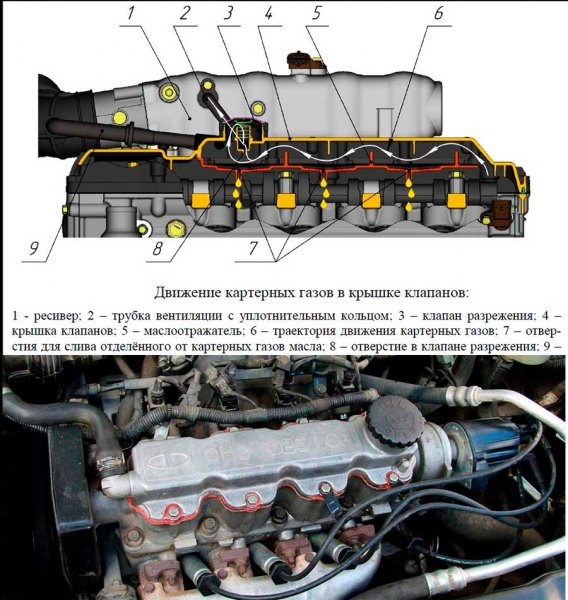 Система вентиляции картера с клапаном рециркуляции ОГ, устройство, принцип работы, настройка, чистка