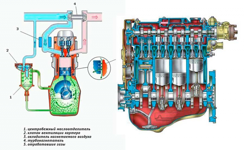 Система вентиляции картера с клапаном рециркуляции ОГ, устройство, принцип работы, настройка, чистка