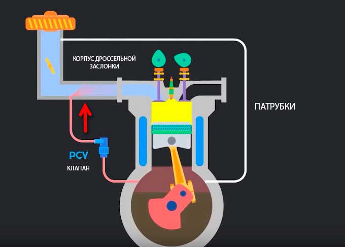 Система вентиляции картера с клапаном рециркуляции ОГ, устройство, принцип работы, настройка, чистка