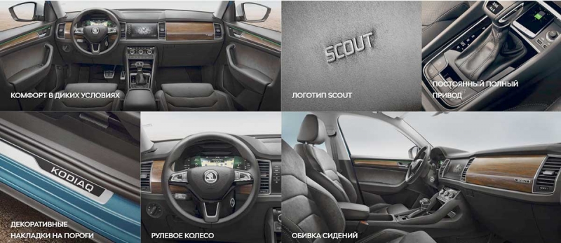 Skoda Kodiaq Scout 2020 - настоящий медведь гризли на дорогах России