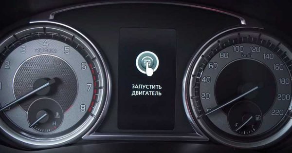 Suzuki Vitara 2019 - волк в плотной шкуре, обзор, плюсы и минусы автомобиля