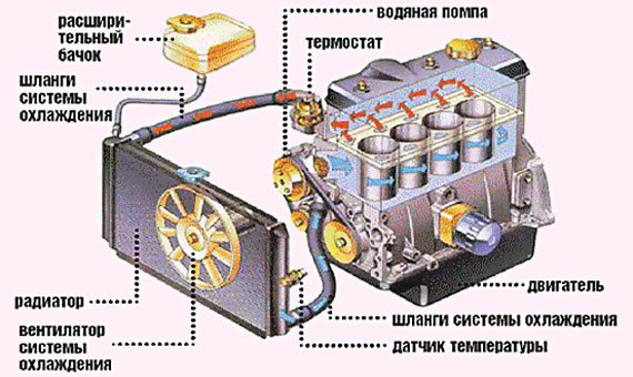 Обслуживание системы охлаждения двигателя
