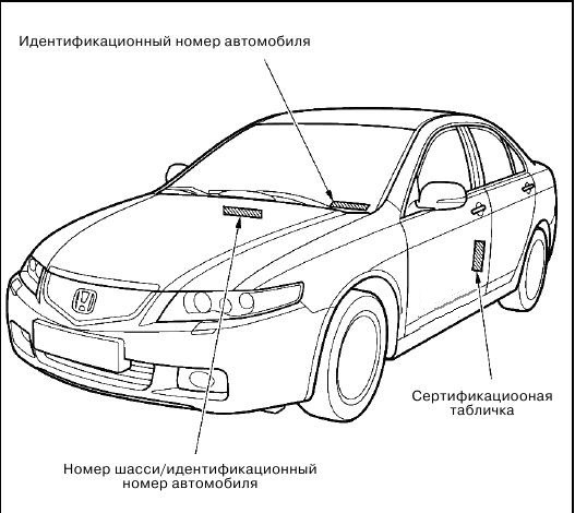 хонда аккорд где вин номер. Смотреть фото хонда аккорд где вин номер. Смотреть картинку хонда аккорд где вин номер. Картинка про хонда аккорд где вин номер. Фото хонда аккорд где вин номер