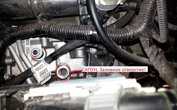 Замена масла в Chevrolet Cruze 1.6