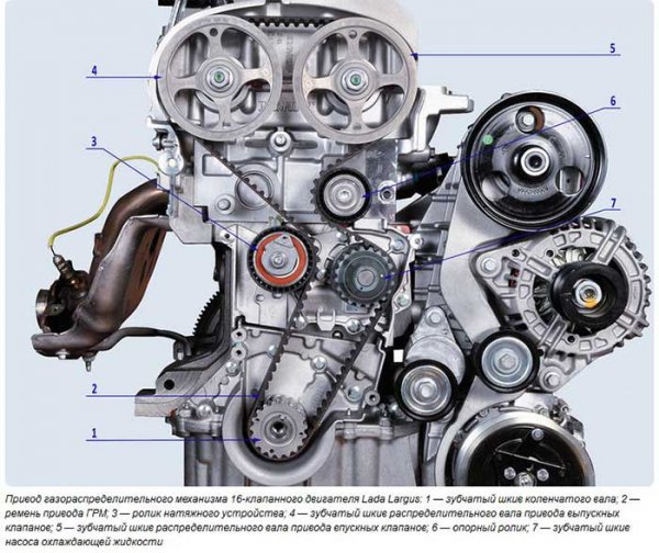 Замена ремня ГРМ на Лада Ларгус 8/16 клапанов